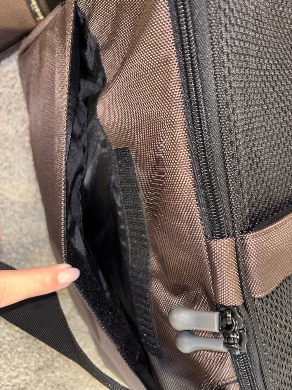 Sleepypod Atom Crash-Tested Cat/Dog Carrier | Airline Approved